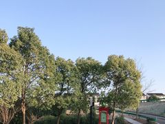 -句容茅山景区