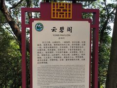 -云碧峰国家森林公园