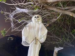 -巨鹏飞梦幻海岸