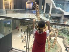 -辽宁古生物博物馆