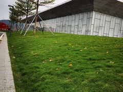 -光明小镇欢乐田园