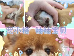 -宠小格时尚宠物生活馆(唐镇店)