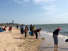 -碣石国家级海洋公园