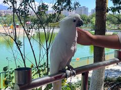 -水上乐园·欢乐世界