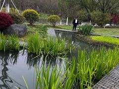 -昆山城市生态森林公园