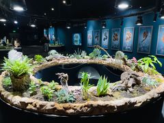 -南宫五洲植物乐园