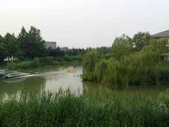 -稻香湖景酒店
