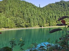 -武陵山森林公园