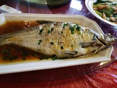 -明珠湖天鹅苑·农家菜馆