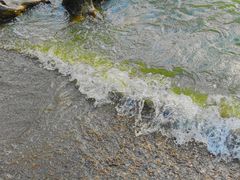 -捞渔河湿地公园