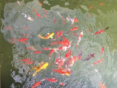 -上海虹桥宾馆(郁锦香品牌酒店)