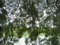 -苏家围·东江画廊旅游景区
