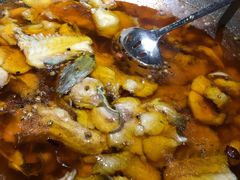 招牌水煮三峡鱼-雲蜀龙阁·金牌水煮鱼(方庄店)