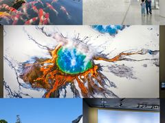 -罗红摄影艺术馆