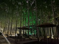 -桉树林A coffee 森林餐厅(三圣乡店)