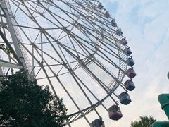 -弘阳·未来世界(弘阳广场店)