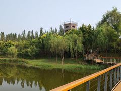 -东郊湿地公园
