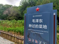 -延安杨家岭革命旧址