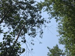 -东郊湿地公园