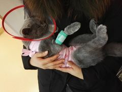 -FAELING PETS美天灵宠物(富力广场店)