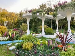 -上海共青森林公园