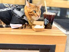 -星巴克(天津鲁能中心第三店)