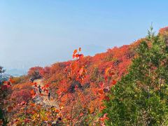 -北京西山国家森林公园