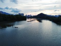 -大亚湾红树林城市湿地公园