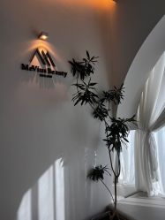-MeVius 美薇私·皮肤管理中心