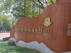 -泗洪洪泽湖湿地景区