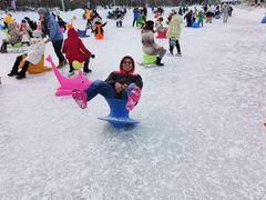 -沈阳奥体冰雪嘉年华