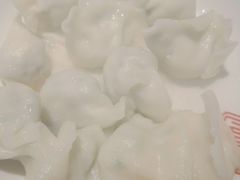 酸菜饺子-新兴园饺子馆(望京店)