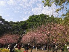-西湖公园(鼓楼区)