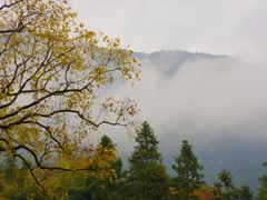 -塔川景区