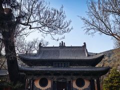 -晋祠公园