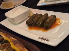 热葡萄叶卷-Efes Turkish & Mediterranean Cuisine 艾菲斯餐厅(陆家嘴店)