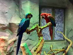 -Zoolung Zoolung动物主题公园(海信广场店)