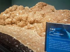 -湖南省地质博物馆