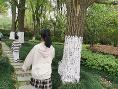 -昆山城市生态森林公园