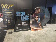 -奥斯卡升龙国际影城(RealD Cinema)