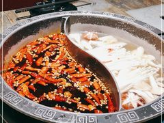 -销魂美蛙鱼头火锅(上海首店)