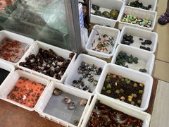 -朝来春花卉市场-东停车场