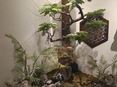 -蘭奢雅集·江浙菜(青山江滩店)