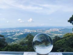 -黄埔油麻山森林公园