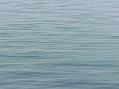 -蠡湖大桥公园