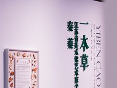 -江苏省美术馆(长江路新馆)