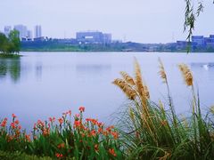 -星巴克(成都科学城店)