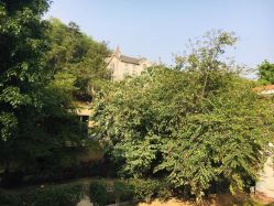 点击看大图 -爱帝宫月子中心(罗湖别墅院)