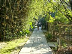 -开平碉楼文化旅游区马降龙景区