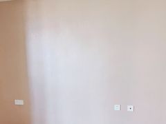 -立邦(汶水红星美凯龙专卖店)